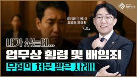 동탄 업무상횡령 무혐의 사례 영상 썸네일